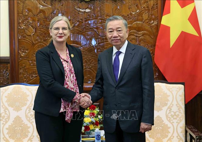 President To Lam receives outgoing Swedish Ambassador to Vietnam Ann Mawe. VNA Photo: Nhan Sáng