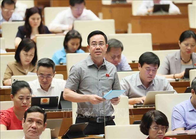 Đại biểu Quốc hội tỉnh Thái Bình Nguyễn Văn Huy phát biểu. Ảnh: An Đăng - TTXVN