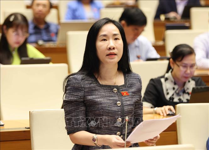 Đại biểu Quốc hội tỉnh Hưng Yên Đoàn Thị Thanh Mai phát biểu. Ảnh: Phương Hoa – TTXVN