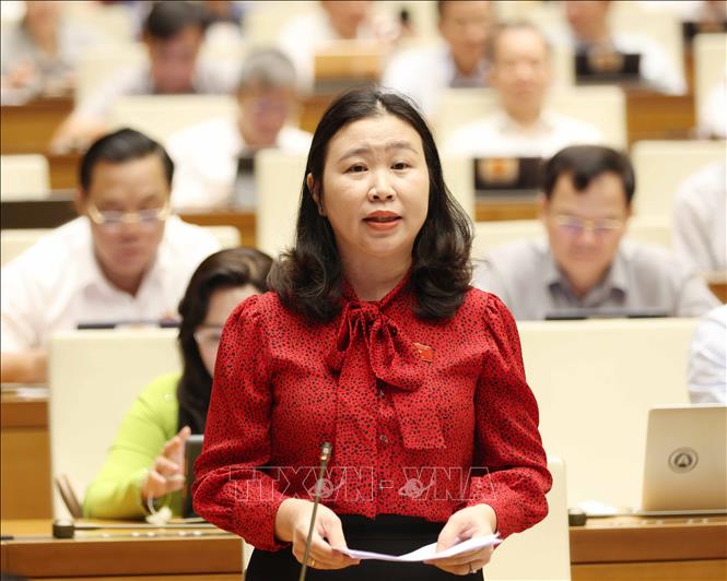 Đại biểu Quốc hội tỉnh Long An Lê Thị Song An phát biểu. Ảnh: Phương Hoa – TTXVN