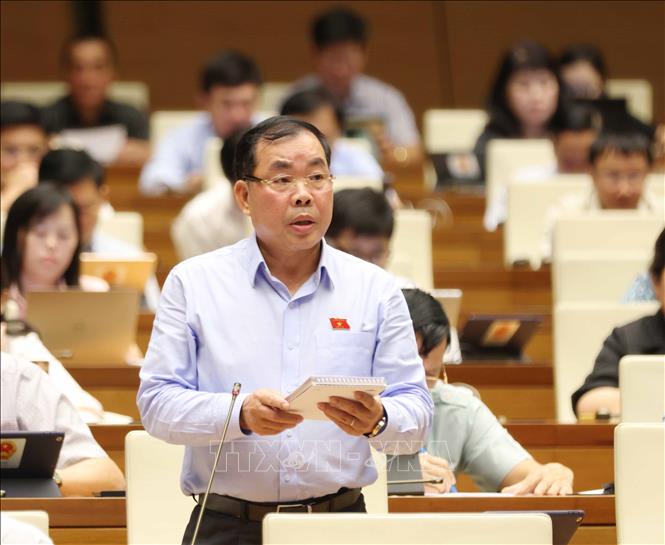 Đại biểu Quốc hội tỉnh Bình Dương Nguyễn Quang Huân phát biểu. Ảnh: Phương Hoa - TTXVN