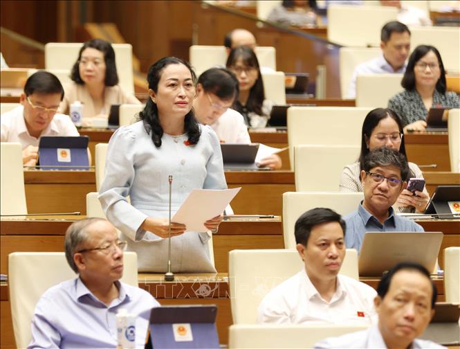 Đại biểu Quốc hội tỉnh Bạc Liêu Trần Thị Hoa Ry phát biểu ý kiến. Ảnh: Phương Hoa – TTXVN 