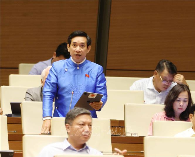 Đại biểu Quốc hội tỉnh Bình Định Nguyễn Văn Cảnh phát biểu ý kiến. Ảnh: Phương Hoa – TTXVN 