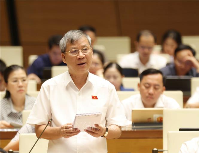 Đại biểu Quốc hội Thành phố Hà Nội Nguyễn Anh Trí phát biểu ý kiến. Ảnh: Phương Hoa – TTXVN 