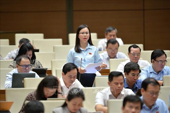 Đại biểu Quốc hội tỉnh Lạng Sơn Chu Thị Hồng Thái phát biểu ý kiến. Ảnh: Phương Hoa – TTXVN