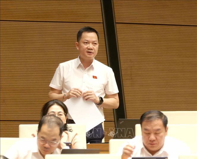 Đại biểu Quốc hội tỉnh Đồng Nai Trịnh Xuân An phát biểu ý kiến. Ảnh: Phương Hoa – TTXVN 