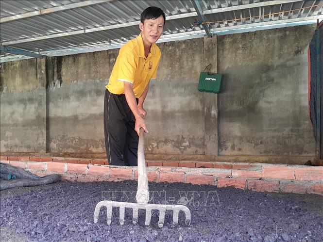 Anh Lương Văn Hậu xử lý sản phẩm ủ từ trái điều để giun ăn. Ảnh: K GỬIH –TTXVN 