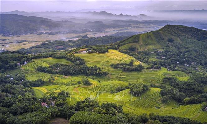 Vẻ đẹp của những thửa ruộng bậc thang Miền Đồi (Hòa Bình) không thua kém gì so với những vùng đất vốn đã rất nổi tiếng về ruộng bậc thang như Lào Cai, Yên Bái... Ảnh: Trọng Đạt - TTXVN
