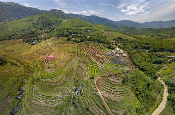 Những thửa ruộng bậc thang ở xã Miền Đồi xanh mướt, uốn lượn trên các sườn đồi. Ảnh: Trọng Đạt - TTXVN