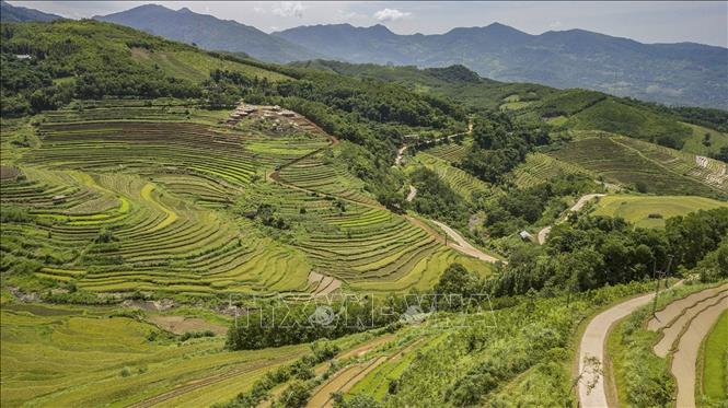 Những thửa ruộng bậc thang ở xã Miền Đồi trải dài từ đỉnh đồi xuống chân đồi tạo ra nét hùng vĩ của cảnh quan ruộng bậc thang nơi đây. Ảnh: Trọng Đạt - TTXVN