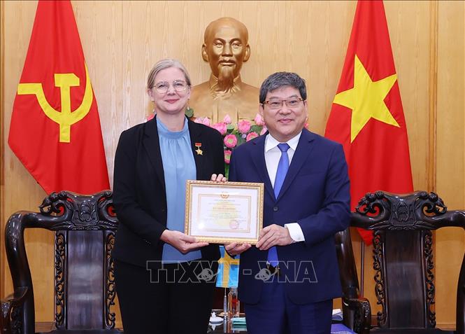 HCMA Permanent Vice President Assoc. Prof., Dr Nguyen Duy Bac hands over the insignia to Swedish Ambassador to Vietnam Ann Måwe. VNA Photo: Văn Điệp 