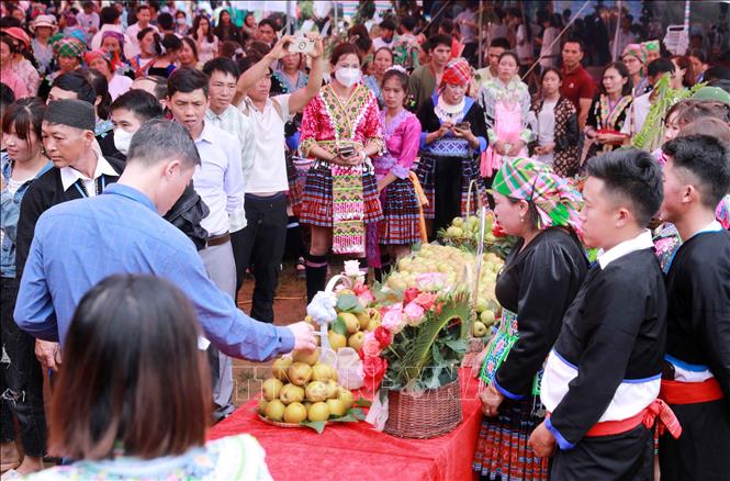 Ban tổ chức chấm điểm trưng bày giới thiệu về lê. Ảnh: Quý Trung – TTXVN