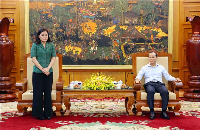 Phó Tổng Giám đốc TTXVN Nguyễn Thị Sự phát biểu. Ảnh: Phạm Kiên - TTXVN
