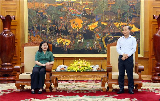 Phó Chủ tịch Thường trực UBND tỉnh Bắc Giang Mai Sơn phát biểu. Ảnh: Phạm Kiên - TTXVN