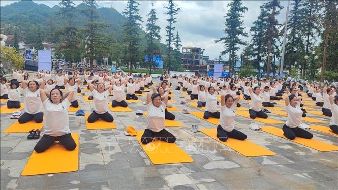 The performance by 500 Vietnamese and foreign yoga trainers and yogis. VNA Photo: Hương Thu 