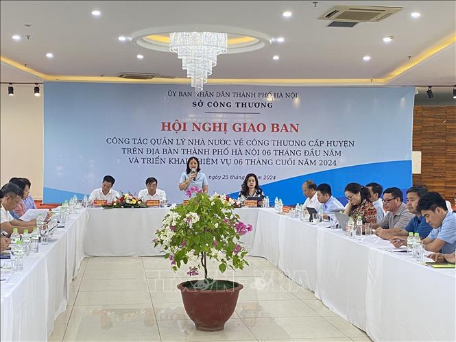 Bà Trần Thị Phương Lan, quyền Giám đốc Sở Công Thương Hà Nội phát biểu. Phương Anh-TTXVN
