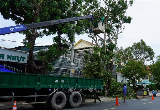 Việc cắt tỉa cây xanh đảm bảo an toàn giao thông cho các phương tiện lưu thông. Ảnh: Văn Sĩ - TTXVN                                 