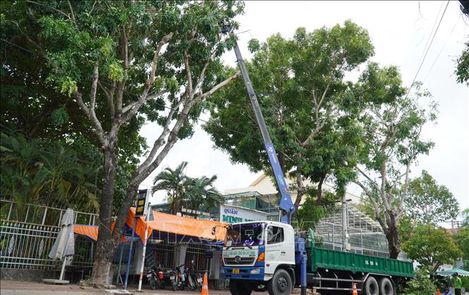 Nhân viên cây xanh cắt tỉa cành cây xanh trên tuyến đường Lâm Quang Ky, thành phố Rạch Giá, tỉnh Kiên Giang. Ảnh: Văn Sĩ - TTXVN                               