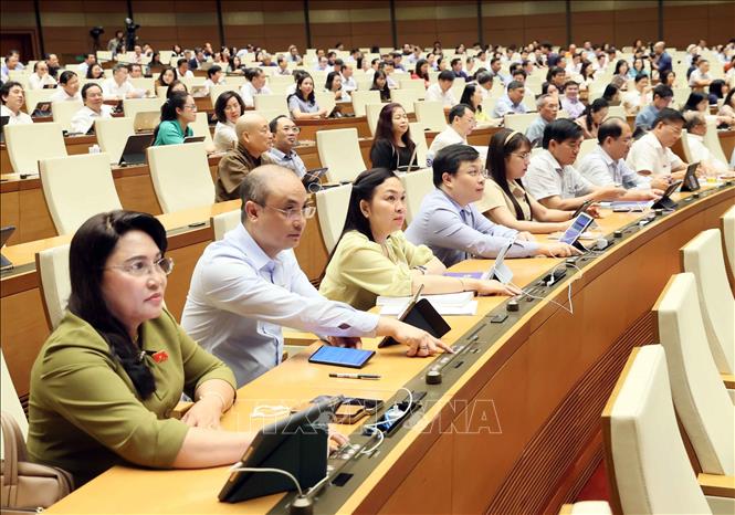 NA deputies cast the votes. VNA Photo