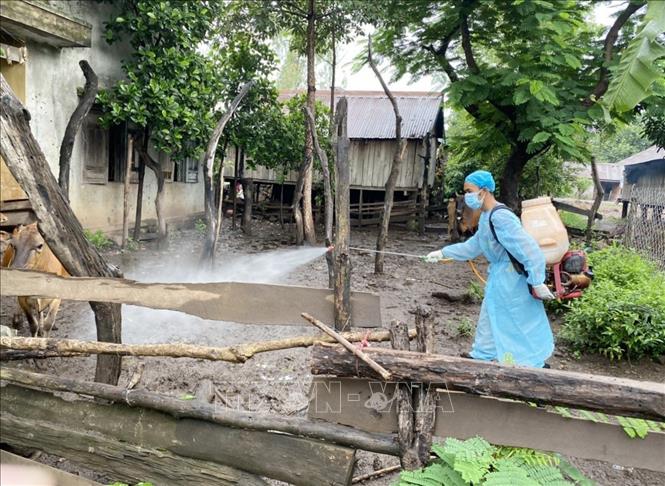 Phun khử trùng phòng chống các bệnh trên động vật tại thị xã Buôn Hồ. Ảnh: TTXVN phát