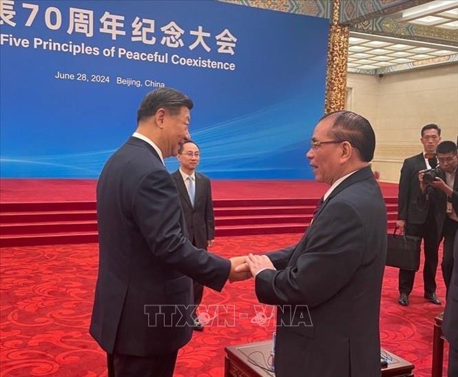 Nguyên Tổng Bí thư Nông Đức Mạnh và Tổng Bí thư, Chủ tịch Trung Quốc Tập Cận Bình. Ảnh: TTXVN phát