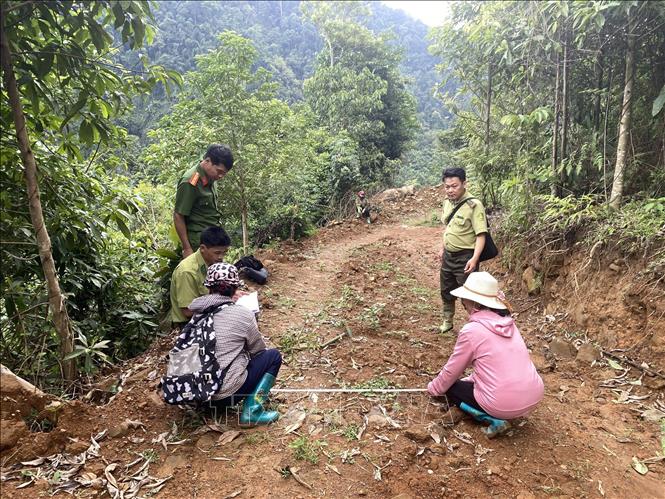 Lực lượng chức năng cùng người dân thống kê chi tiết những diện tích rừng bị đào bới làm đường. Ảnh: TTXVN phát