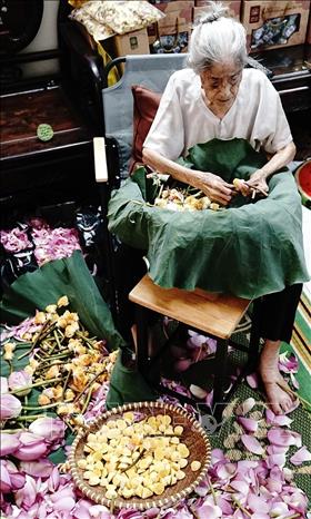 Công đoạn lấy gạo sen được coi là khó nhất trong các bước làm trà sen, đòi hỏi người nghệ nhân phải nhanh tay, khéo léo để hạt gạo không nát, không bay mất hương thơm, giảm chất lượng của sản phẩm vẫn được lão nghệ nhân thực hiện tỉ mỉ. Ảnh: Khánh Hòa - TTXVN 