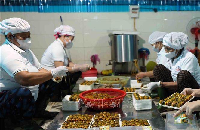 Tran Khoi My eel processing facility in Yen Thanh district, Nghe An province supplies the market with 12 tons of product each month, earning a revenue of 400 million VND (15,720 USD). Eel product from the facility has earned OCOP 3-star standard in 2023. VNA Photo: Vũ Sinh