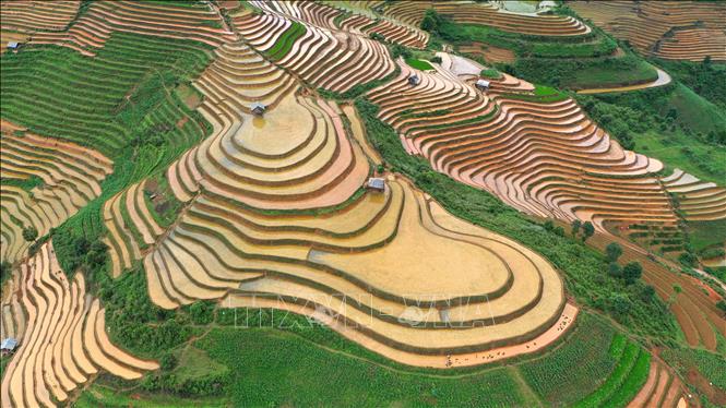 Những thửa ruộng bậc thang lấp lánh nước quyến rũ, huyền bí như được khoác lên mình một tấm áo mới nhiều màu sắc. Ảnh: Tuấn Anh - TTXVN


