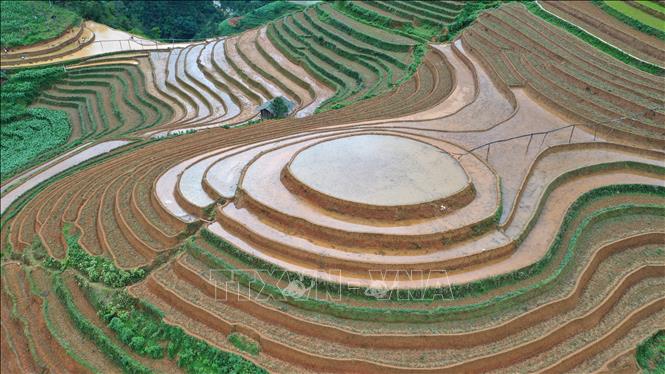Kinh nghiệm làm ruộng bậc thang của người Mông rất phong phú, yếu tố đầu tiên mà họ quan tâm là chọn mảnh đồi có nguồn nước mạch, hoặc gần nguồn nước mạch có thể đào rãnh dẫn nước tới ruộng. Ảnh: Tuấn Anh - TTXVN

