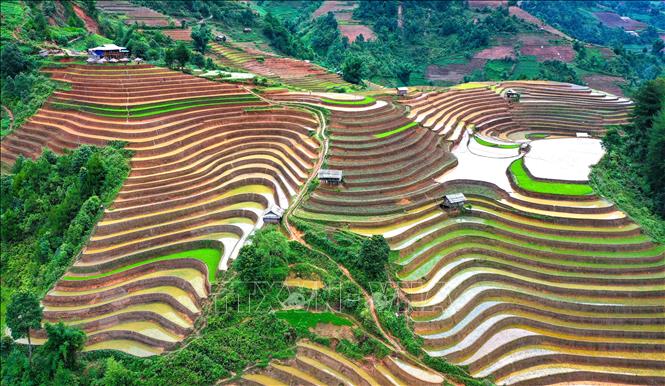 Để tạo nên những thửa ruộng bậc thang thích hợp cho gieo trồng, người dân phải chọn những vùng đất không có đá trên triền đồi, sườn núi có diện tích khá rộng, độ dốc vừa phải và vị trí thuận lợi để đón nước mưa, nước suối. Ảnh: Tuấn Anh - TTXVN

