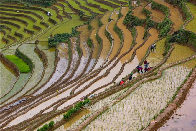 Ruộng bậc thang mùa nước đổ tạo nên một khung cảnh vô cùng ấn tượng, đẹp như bức tranh thủy mặc. Ảnh: Tuấn Anh - TTXVN

