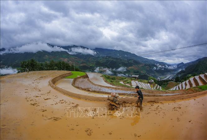 Công việc thuần nông tuy vất vả sớm hôm, nhưng cái mong nhất của nông dân là chờ nước đổ về để tranh thủ cầy cấy cho đúng vụ. Ảnh: Tuấn Anh - TTXVN

