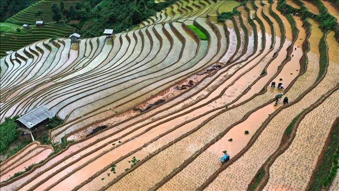 Hoạt động du lịch 