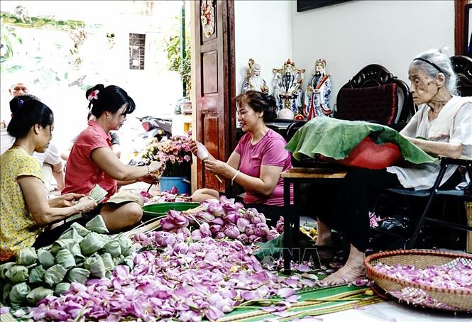 Nghệ nhân Nguyễn Thị Dần (101 tuổi) cùng các thành viên trong gia đình thực hiện các công đoạn ướp trà sen truyền thống. Ảnh: Khánh Hoà – TTXVN 