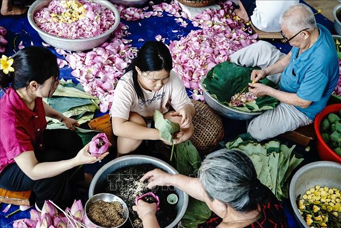 Nghề ướp trà Sen Tây Hồ là một nghề truyền thống có lịch sử rất lâu đời, hiện nay đang được lưu giữ bởi trên 30 gia đình trong phường Quảng An, quận Tây Hồ, đời trước truyền cho đời sau, quy trình ướp trà được thực hiện hoàn toàn bằng phương pháp thủ công. Ảnh: Khánh Hoà – TTXVN 