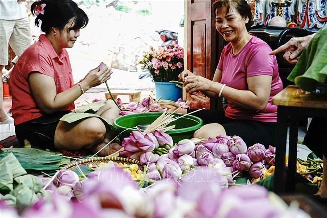 Các công đoạn của việc ướp trà sen được các thành viên trong gia đình chia nhau thực hiện một các tỉ mỉ và nhanh chóng, để có thể kết thúc vào khoảng thời gian trước 10 giờ sáng đảm bảo hương ướp trà là tốt nhất. Ảnh: Khánh Hoà – TTXVN 