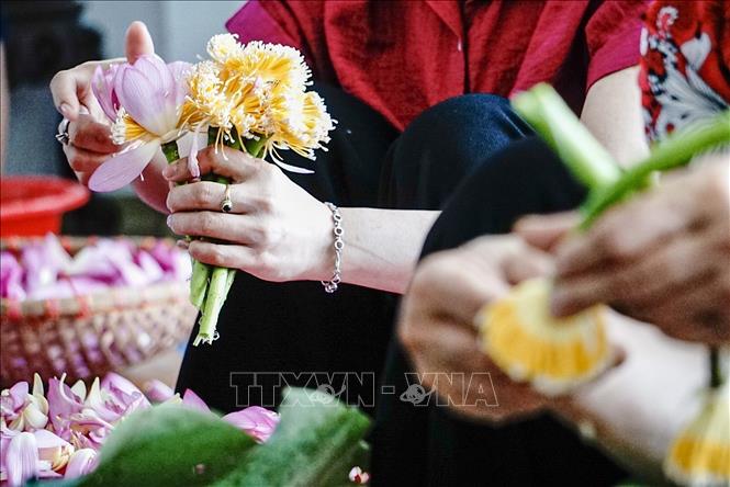 Công đoạn lấy gạo sen được coi là khó nhất trong các bước làm trà sen đòi hỏi người nghệ nhân phải nhanh tay, khéo léo để hạt gạo không nát, bay mất hương thơm, giảm chất lượng của sản phẩm. Ảnh: Khánh Hoà – TTXVN 