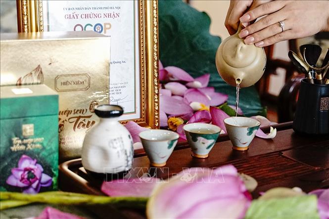 Trà ướp sen Hồ Tây là một sản phẩm thượng hạng có tiếng của đất Hà Thành, thương hiệu “Trà ướp sen Hiền Xiêm” đã được công nhận OCOP 4 sao, từng được sử dụng trong các tiệc trà của Việt Nam để tiếp các nguyên thủ quốc tế. Hiện tại, chính quyên địa phương cũng đã có các kế hoạch để dài lâu để duy trì, quảng bá nghề uớp trà sen truyền thống Tây Hồ cũng như hỗ trợ các cá nhân, gia đình phấn đấu sản phẩm OCOP 5 sao. Ảnh: Khánh Hoà – TTXVN 