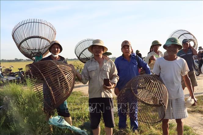 Many people from nearby districts, such as Do Luong district in Nghe An province, gather at Vuc marsh at 6.00 am to participate in Dong Hoa fishing festival. VNA Photo: Hoàng Ngà