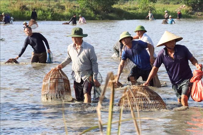 Dong Hoa fishing festival is held annually after rice harvest season, carries with it local cultural significance of praying for the development of aquaculture, agriculture and the unity of the village. VNA Photo: Hoàng Ngà