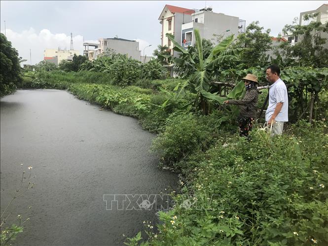 Con kênh nổi váng, nước đen kịt tại làng nghề bánh đa Lộ Cương, phường Tứ Minh, thành phố Hải Dương. Ảnh: Tiến Vĩnh – TTXVN