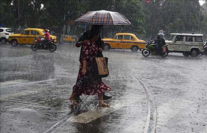 Mưa lớn tại bang Kolkata, Ấn Độ ngày 29/6/2024. Ảnh: ANI/TTXVN
