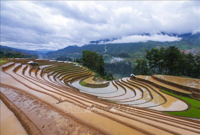  Những thửa ruộng bậc thang mênh mông mùa nước đổ do người Mông nơi đây tạo nên. Ảnh: Tuấn Anh - TTXVN

