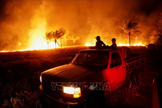 Khói lửa bốc lên từ đám cháy rừng ở Roraima, Brazil. Ảnh: Reuters/TTXVN