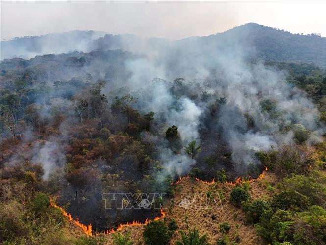 Khói bốc lên từ đám cháy rừng ở Roraima, Brazil. Ảnh: Reuters/TTXVN