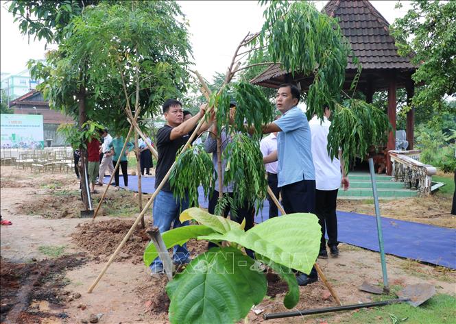 Lãnh đạo thành phố Thủ Dầu Một cùng phường Tương Bình Hiệp và Sơn Mài Định Hòa trồng cây sơn Phú Thọ (một loại cây làm sơn cho tranh làng nghề sơn mài Tương Bình Hiệp). Ảnh: Dương Chí Tưởng-TTXVN
