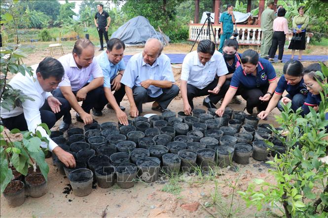 Lãnh đạo thành phố Thủ Dầu Một cùng phường Tương Bình Hiệp và Sơn Mài Định Hòa ươm giống cây sơn Phú Thọ (một loại cây làm sơn cho tranh làng nghề sơn mài Tương Bình Hiệp). Ảnh: Dương Chí Tưởng-TTXVN