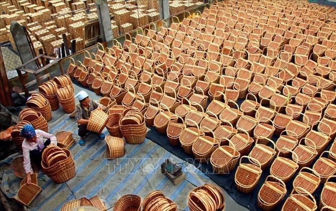 Sản xuất mây tre đan xuất khẩu ở Phú Xuyên. Đây là nghề đem lại thu nhập và công việc ổn định cho lao động nông thôn Hà Nội. Ảnh Trọng Đạt-TTXVN