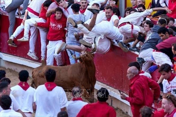 Người tham gia chạy đua cùng bò tót tại lễ hội San Fermin ở Pamplona, Tây Ban Nha, ngày 7/7/2024. Ảnh: Getty Images/ TTXVN